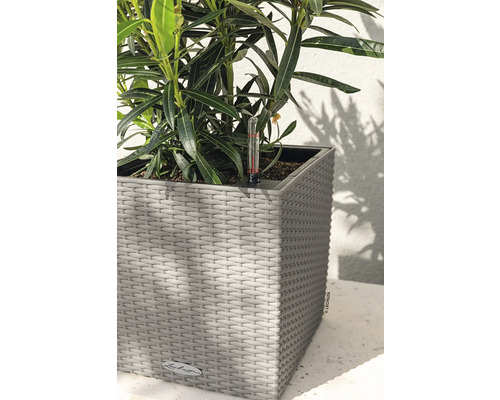 Plante dans un pot Lechuza avec humidimètre