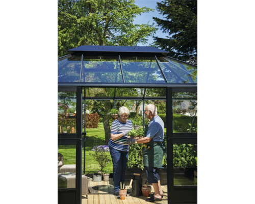 Ein Paar steht in einem Gewächshaus mit Glaswänden und einem Rahmen aus Metall.
