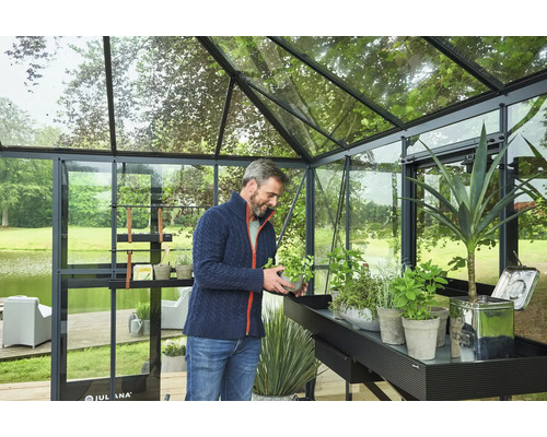Homme avec des plantes dans une serre avec des étagères et une table