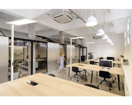 Bureau avec des bureaux, des chaises, des lampes et des plantes de bureau