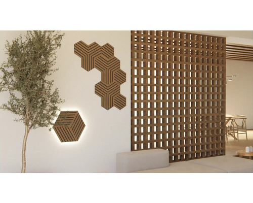 Intérieur lumineux avec panneaux acoustiques hexagonaux, séparation de pièce en bois et une plante d''intérieur