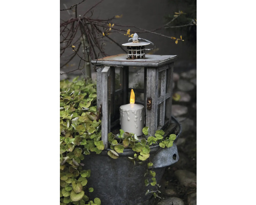 Dekorative Szene mit einer Laterne, einer LED-Kerze und einer Pflanze in einem Eimer.