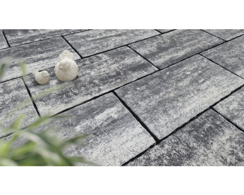 Pavés rectangulaires en pierre avec décoration d''oiseaux.