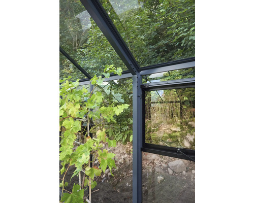 Detailansicht eines Gewächshauses mit Pflanzen