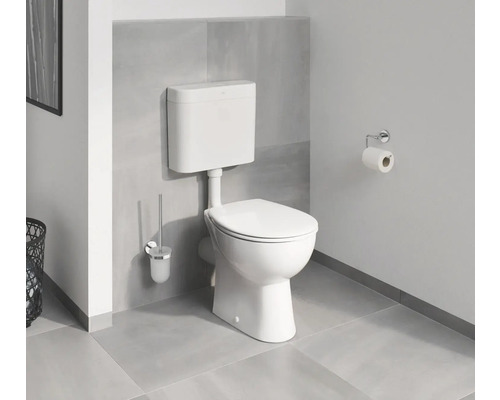 WC sur pied blanc avec réservoir apparent, brosse de toilette et porte-papier hygiénique dans la salle de bains