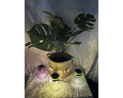 Szene mit drei Solarleuchten und einer Zimmerpflanze in einem Korb.