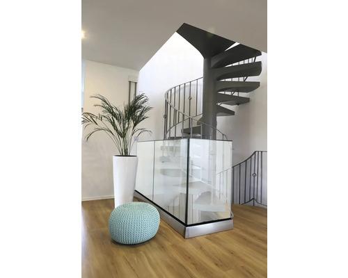 Innenraum mit Wendeltreppe, Glasgeländer, Pflanze im Topf und Sitzkissen