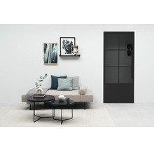 Salon avec canapé, table basse et porte intérieure noire avec insert en verre