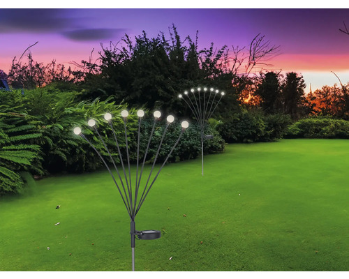 Deux lampes solaires dans le jardin avec des boules lumineuses sur des tiges.