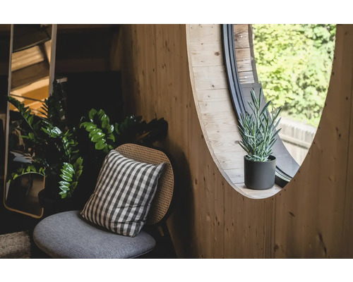 Mur en bois clair avec fenêtre ronde, plante en pot, chaise avec coussin et plantes d''intérieur