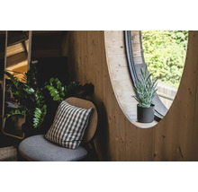 Pièce en bois avec fenêtre ronde, chaise et plantes d''intérieur
