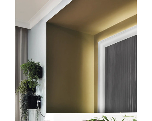 Pièce avec plantes murales, miroir et corniche