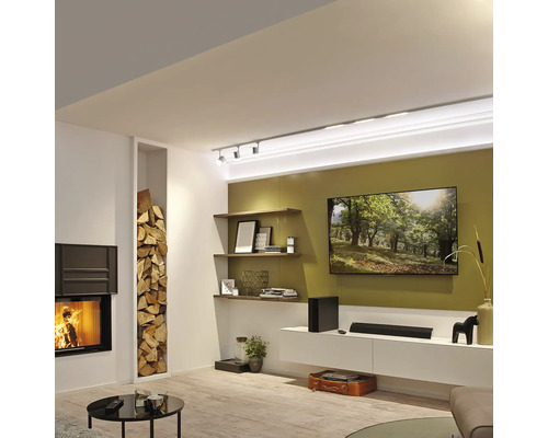 Salon avec cheminée, étagère à bois, télévision et étagères