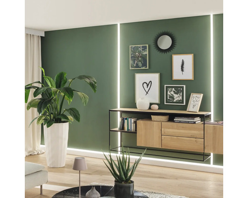 Salon avec buffet, plantes d''intérieur et décoration murale