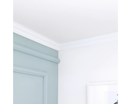 Coin de pièce avec moulure décorative au mur et au plafond