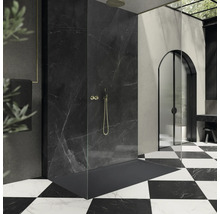Receveur de douche KALDEWEI SUPERPLAN 1861-5 150 x 100 x 2.5 cm cool grey 90 mat 386147980667
