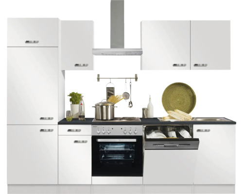 Cuisine complète avec évier, lave-vaisselle, cuisinière et hotte aspirante