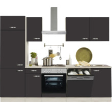 Cuisine équipée avec placards, évier, cuisinière, four, hotte aspirante et lave-vaisselle