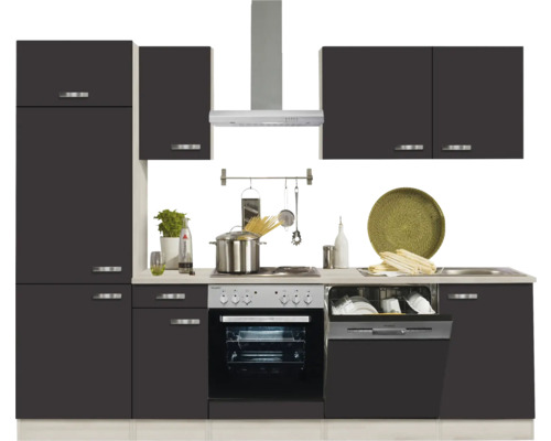 Cuisine équipée avec placards, évier, cuisinière, four, hotte aspirante et lave-vaisselle