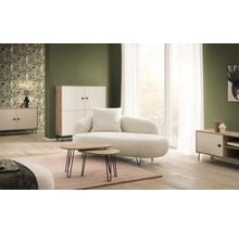 Salon avec canapé, tables et armoires au design moderne