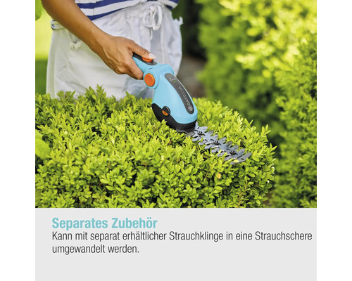 Cisailles de jardin coupant un buis