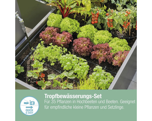 Système d''irrigation goutte à goutte pour 35 plantes en plates-bandes surélevées et plates-bandes, adapté aux petites plantes sensibles