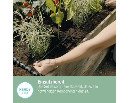 Installation d''un système d''irrigation dans un potager surélevé avec diverses plantes