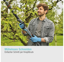 Mann schneidet Baum mit Akku-Hochentaster von Gardena