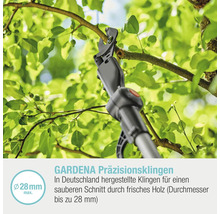 Gartenschere beim Schneiden eines Astes mit einem Durchmesser von bis zu 28 Millimetern.