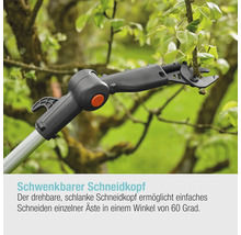 Astschere mit drehbarem Schneidkopf beim Schneiden eines Astes