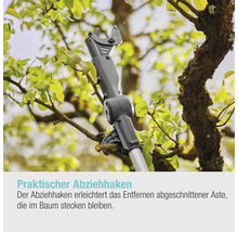Asthaken zur Entfernung abgeschnittener Äste aus dem Baum