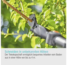 Teleskop-Astschere schneidet einen Ast