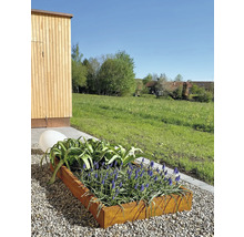 Jardinière avec plantes sur une surface de gravier dans le jardin