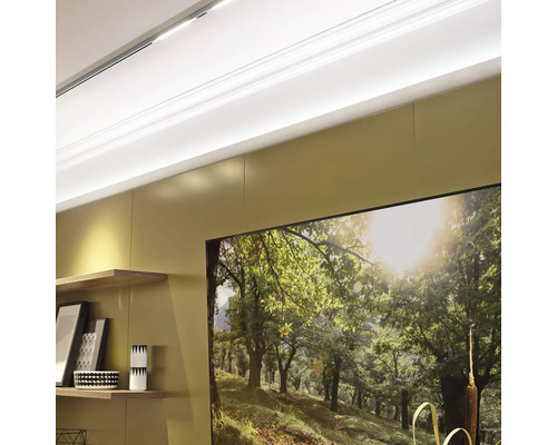 Aménagement mural avec panneaux, étagères et une photo avec un motif de forêt.