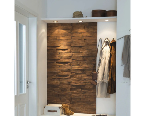 Espace d''entrée avec revêtement en bois, étagère et porte-manteau.