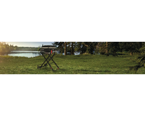 Tragbarer Gasgrill auf einer Wiese in der Nähe eines Sees.