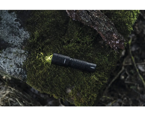 Lampe de poche noire avec lumière sur une pierre moussue