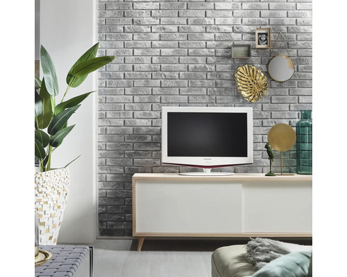 Salon avec télévision, commode, plante d''intérieur et décoration sur un mur de briques