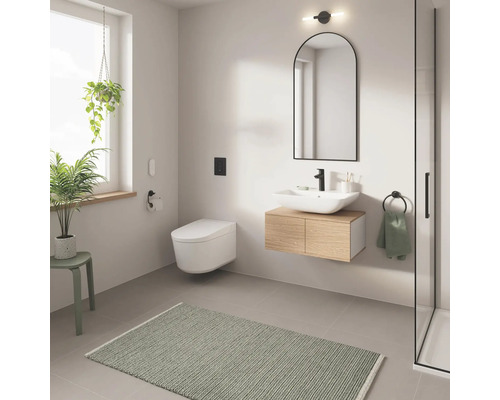 Salle de bain moderne avec toilettes, lavabo, miroir et tapis