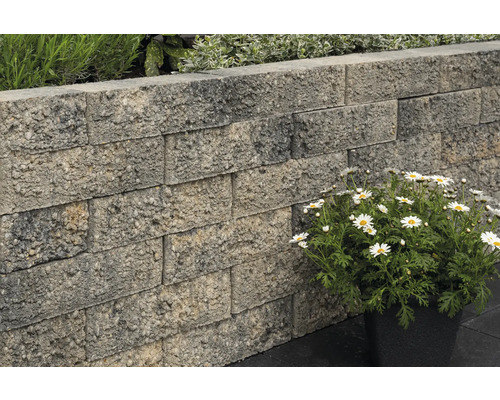 Gartenmauer aus Betonsteinen mit blühenden Margeriten im Topf