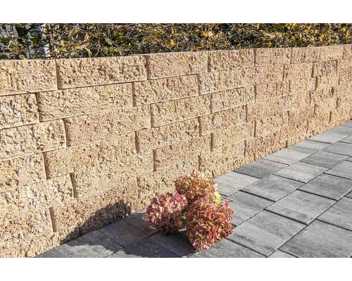 Eine Gartenmauer aus Betonsteinen und ein gepflasterter Weg im Garten.