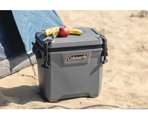 Graue Coleman Kühlbox mit Obst auf Sand