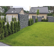 Gabionenzaun mit Steinfüllung und grünen Zypressen in einem Garten