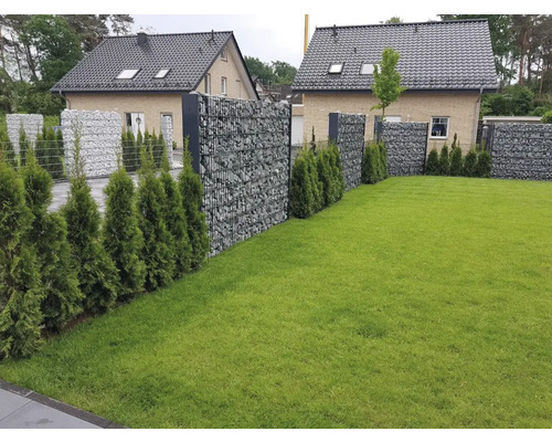 Gabionenzaun mit Steinfüllung und grünen Zypressen in einem Garten
