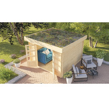 Gartenhaus aus Holz mit Gründach, geöffneter Tür und Sitzgelegenheiten im Freien