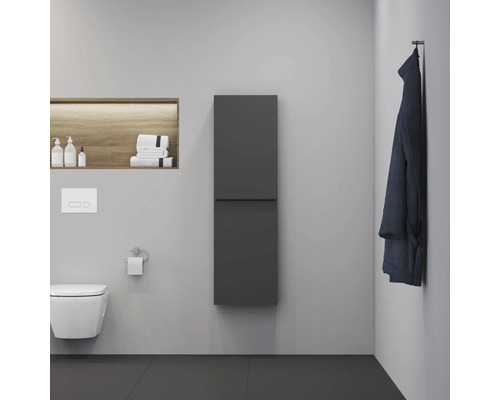 Modernes Badezimmer mit Wand-WC, Heizkörper und Ablageflächen