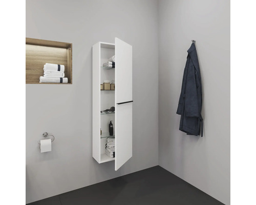 Badezimmer mit hängendem Badezimmerschrank mit Glasablagen, Handtüchern und Pflegeprodukten