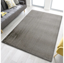 Tapis rectangulaire dans le salon