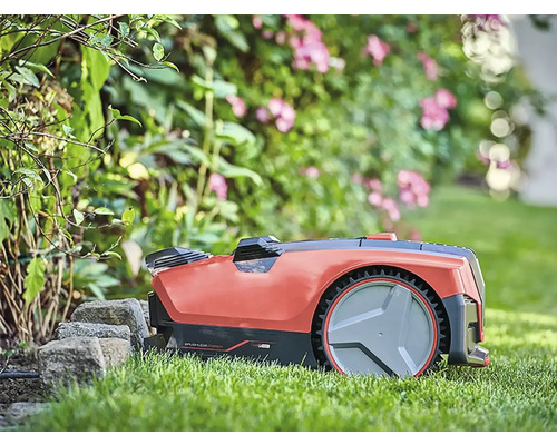Robot tondeuse sur pelouse dans le jardin