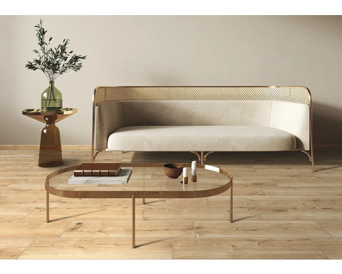 Scène de salon avec canapé, table basse et table d''appoint